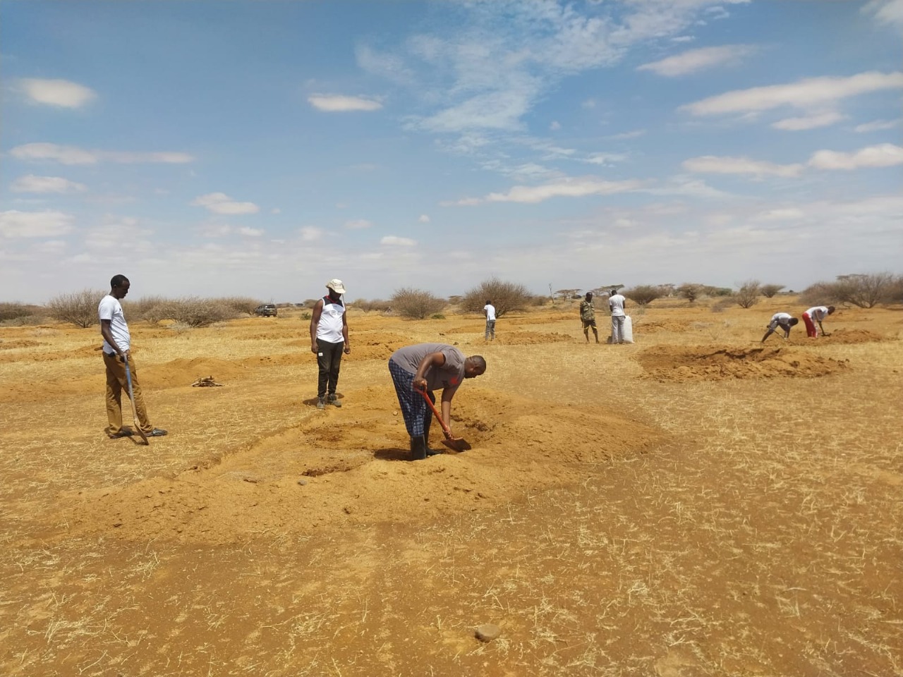 whatsapp image 2025 11 06 at 1.10.21 pm