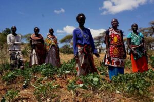 Home whatsapp image 2025 11 06 at 1.11.53 pm